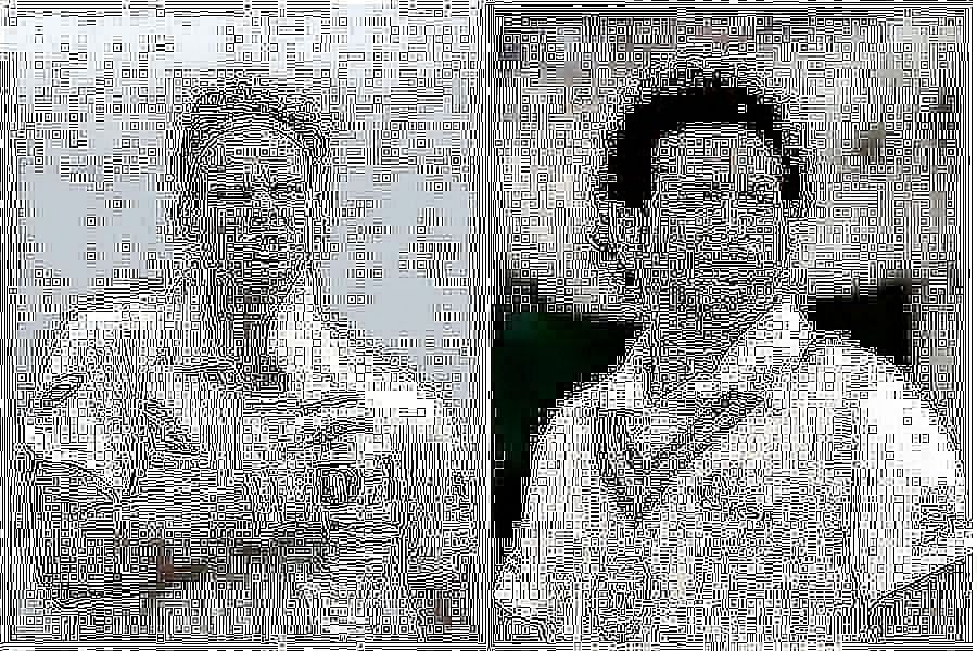 Sachin Tendulkar and Steve Smith most 50s in ICC ODI World Cup knockout matches